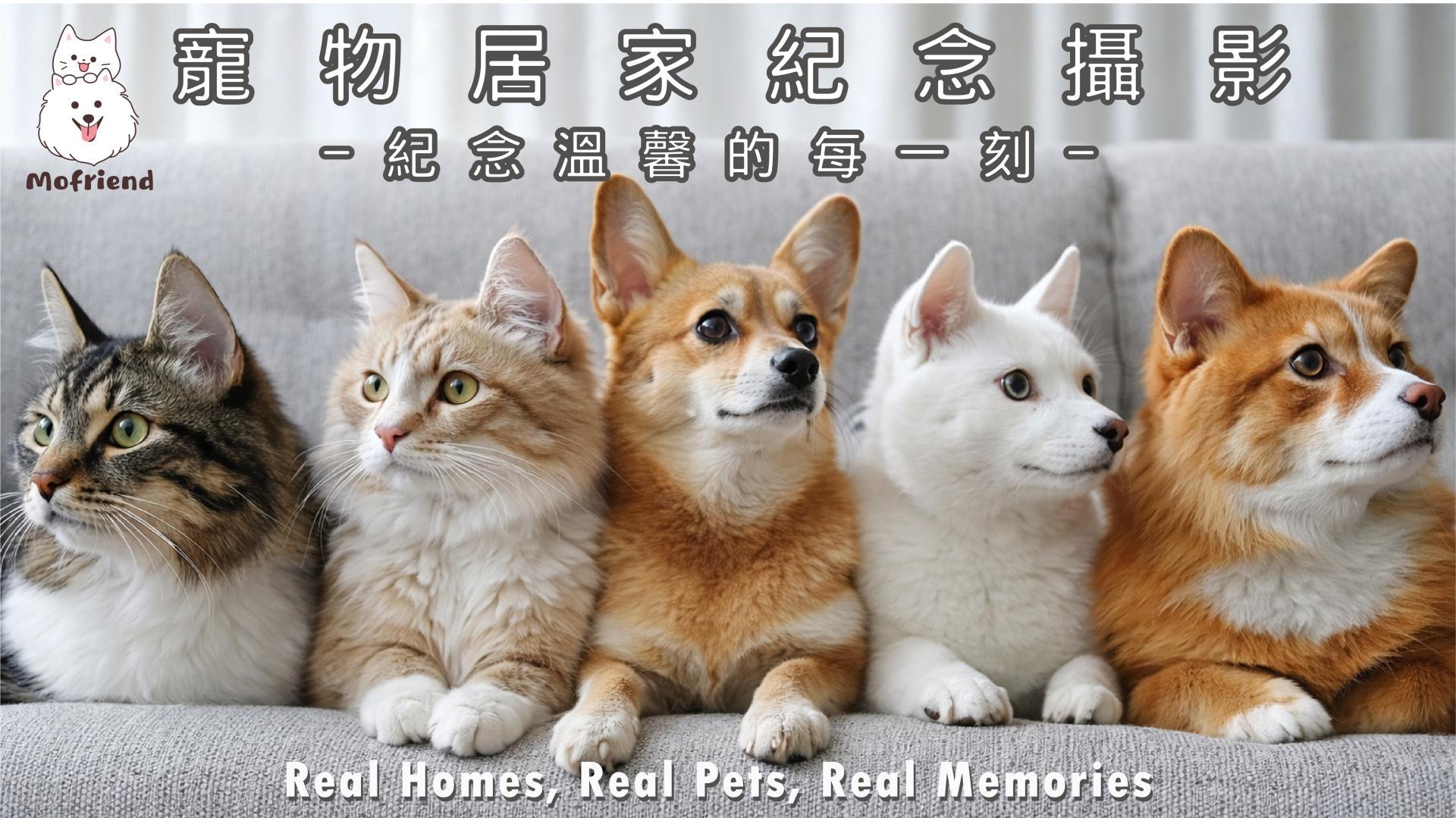 銷售業_工作區域 1.jpg