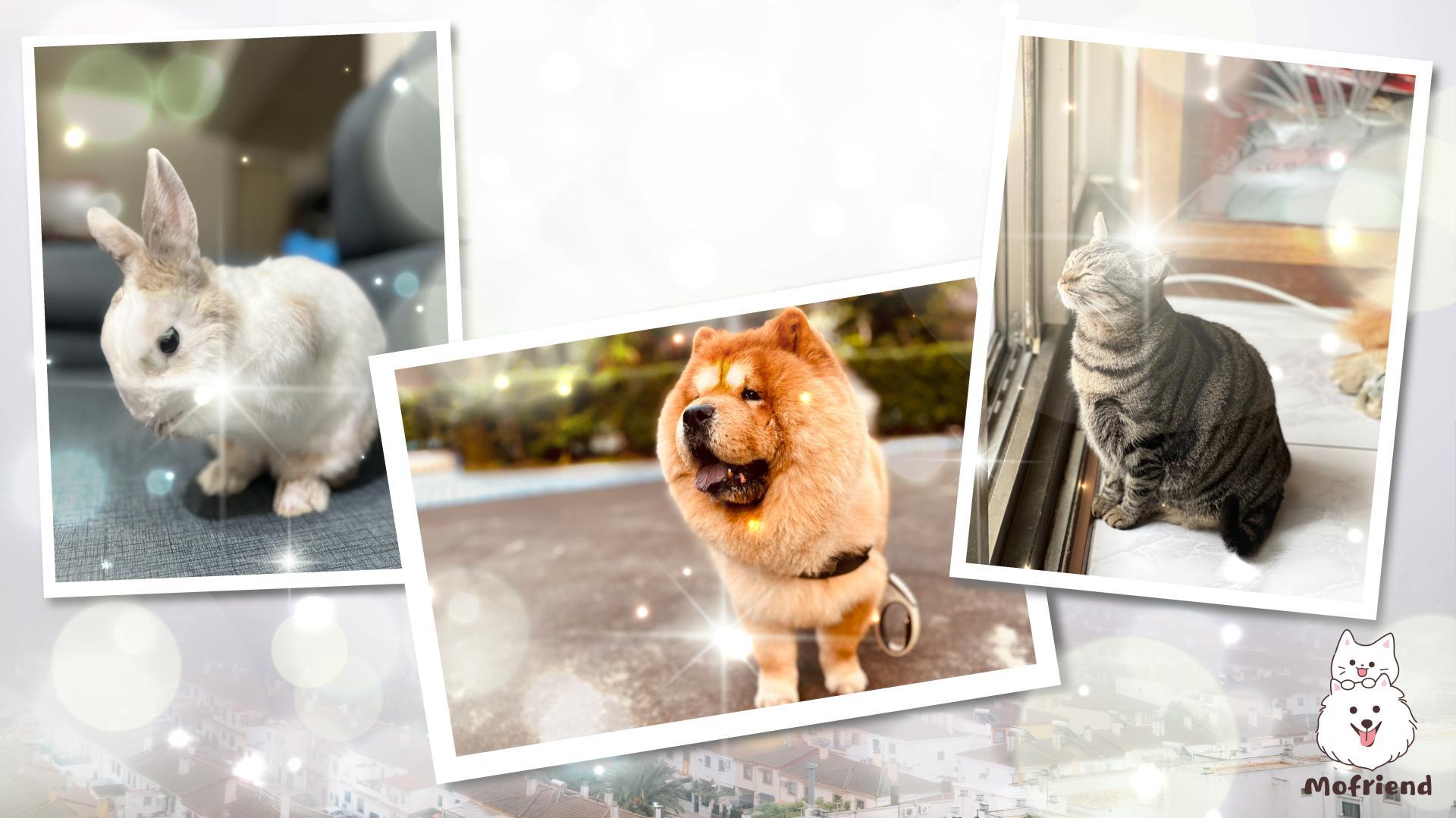 銷售業_工作區域 1 複本 2.jpg