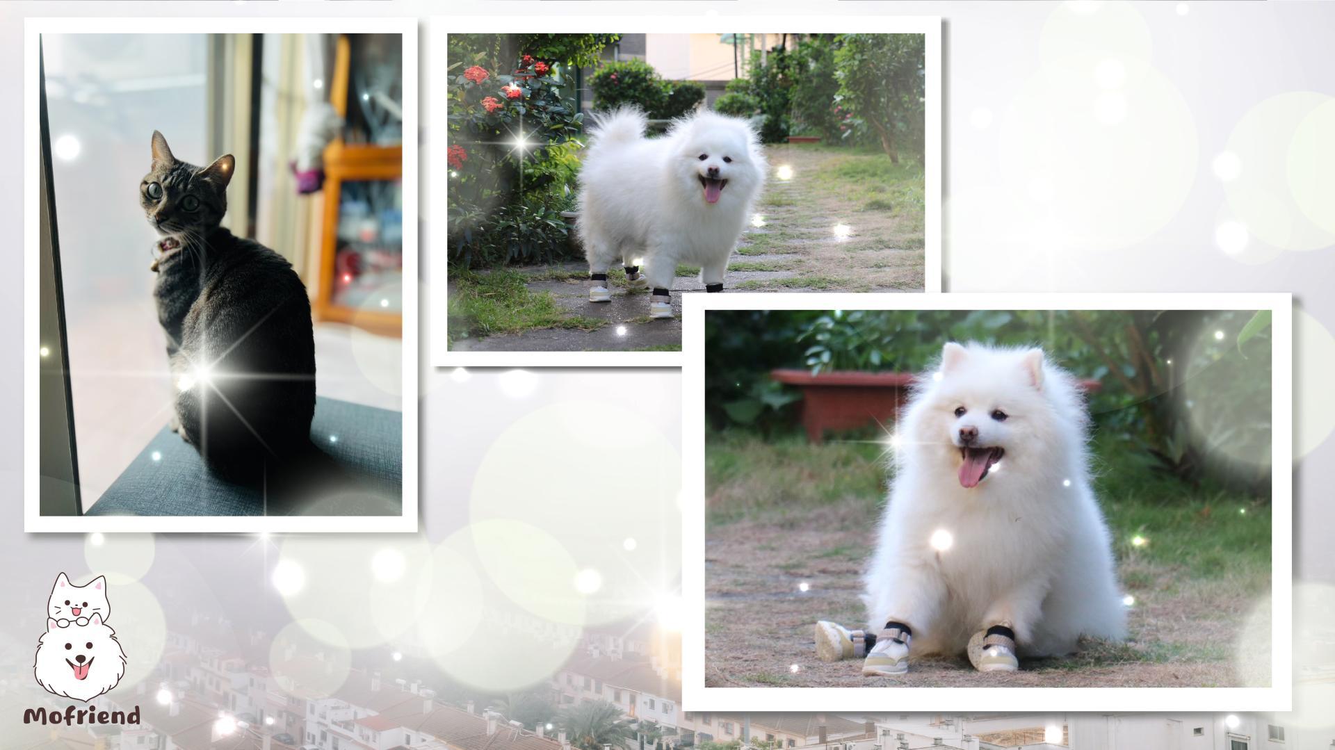 銷售業_工作區域 1 複本.jpg